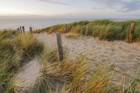 Strandleven