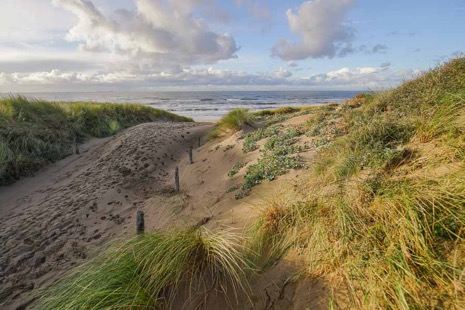 Strandleven