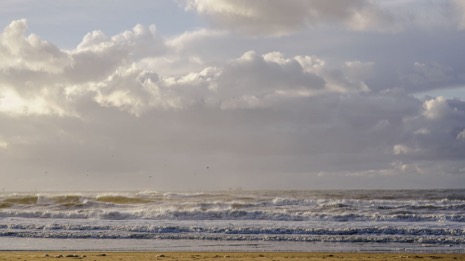 Strandleven