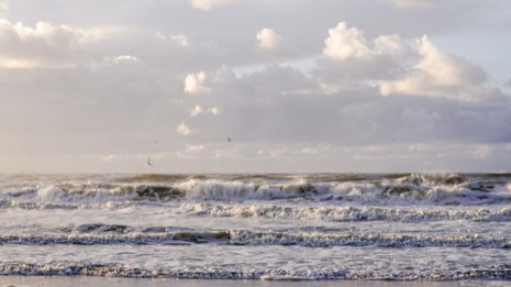 Strandleven