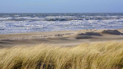 Strandleven