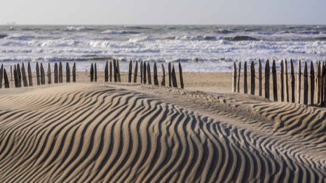 Strandleven