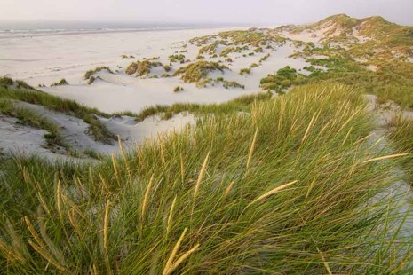 Strandleven