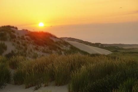 Strandleven