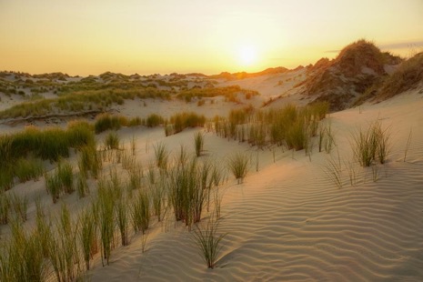 Strandleven