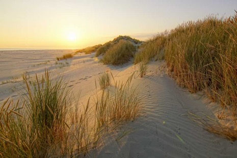 Strandleven