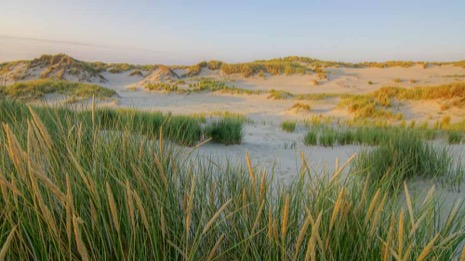 Strandleven