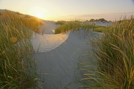 Strandleven