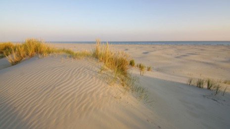 Strandleven