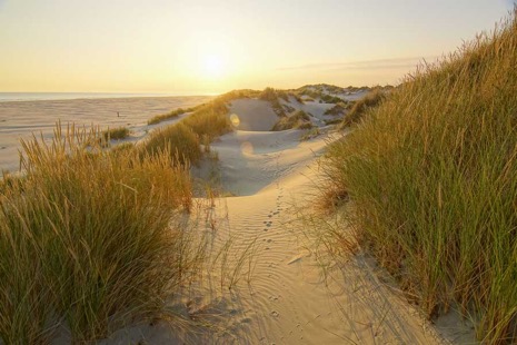 Strandleven