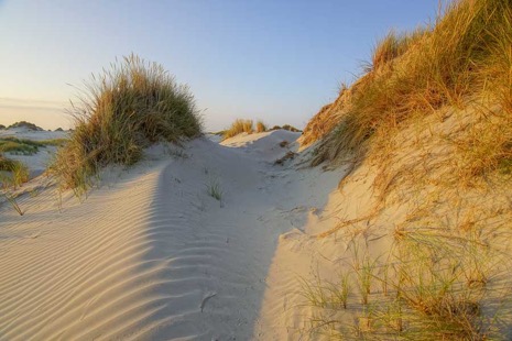 Strandleven