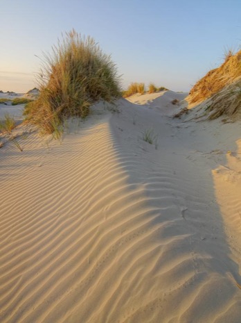 Strandleven