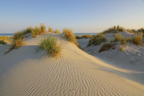 Strandleven