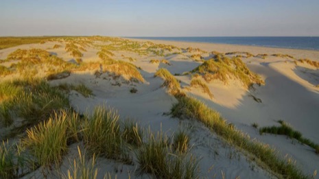 Strandleven