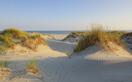 Strandleven