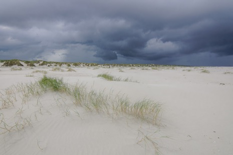 Strandleven