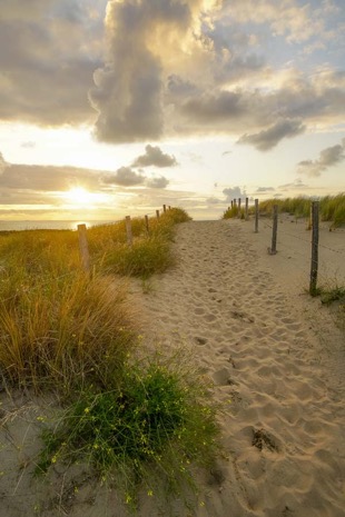 Strandleven