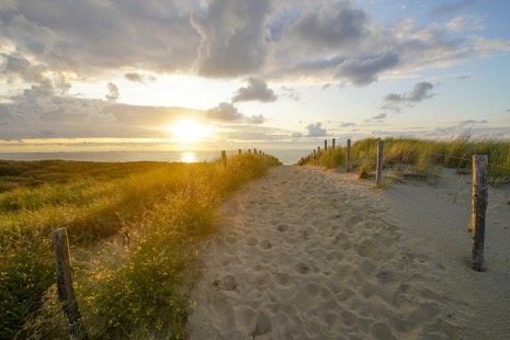 Strandleven