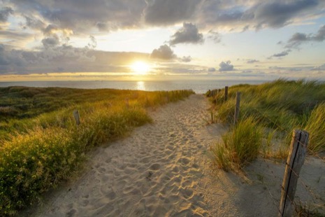 Strandleven