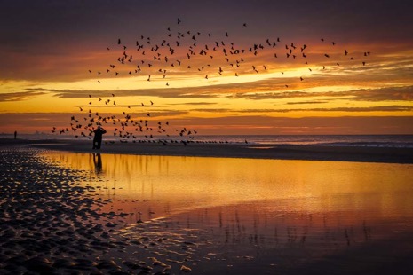 Strandleven