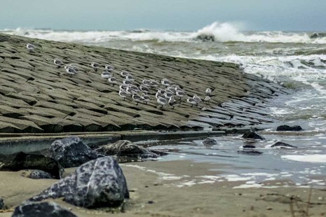 Strandleven