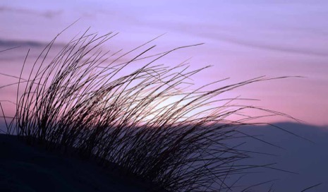 Strandleven