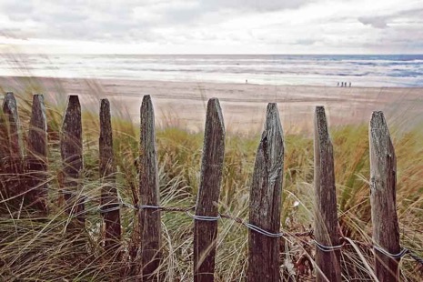 Strandleven