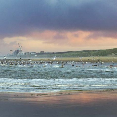 Strandleven Panorama 21