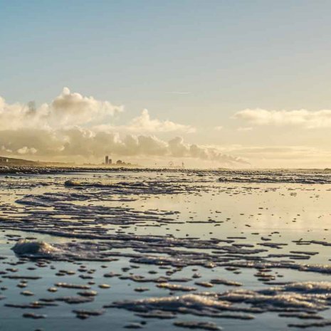 Strandleven Panorama 26