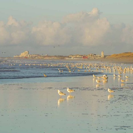 Strandleven Panorama 27