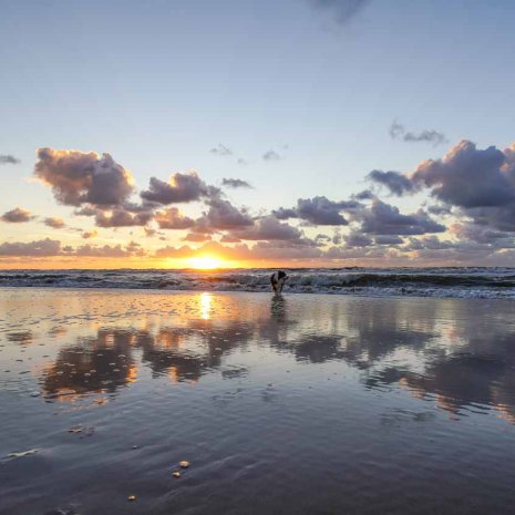 Strandleven Panorama 30