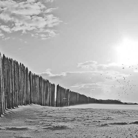 Strandleven Panorama 5