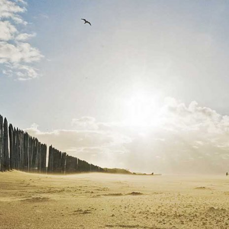 Strandleven Panorama 6